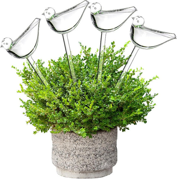Bird-Shaped Glass Self-Watering Globes – Automatic Plant Hydration