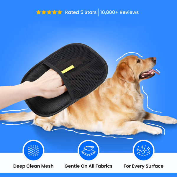 Pet Hair Brush